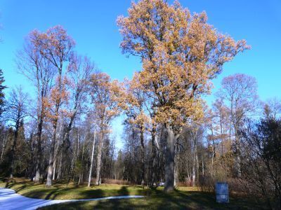 Верхний парк