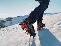 Ботинки STELLAR NUBUCK GTX