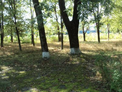 Остатки 2 батарей времен русско-турецкой войны