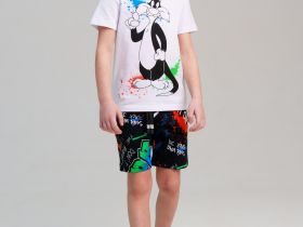 Фуфайка трикотажная для мальчиков (футболка)