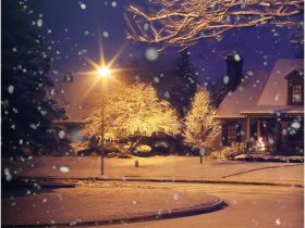 Комплект наклеек Krutoff «Новый год — природа» (4 шт.)