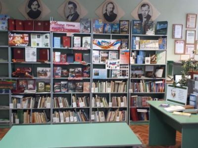 Гончаровская сельская модельная библиотека