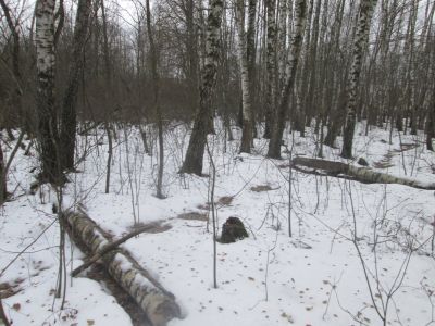 Родина Героя Советского Союза В.П. Соколова, умершего в 1958 г.