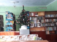 Пробужденовская сельская библиотека