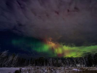 Фотофакт: полярное сияние засняли над Якутском / ЯСИА   