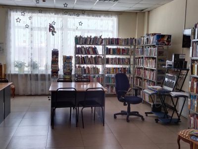 Сельская библиотека «Березняки»