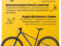 Горный велосипед Welt Rambler 29, год 2024, цвет Серый, ростовка 18