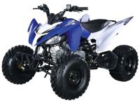 Квадроцикл ABM Scorpion 125M