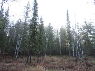 Священное место  Яун той Кот Мых