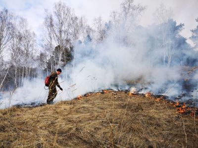 Внимание! Высокий уровень пожарной опасности в лесах