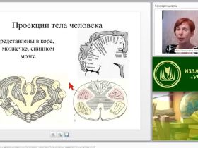 Международный вебинар "Двигательная активность и здоровье современного человека: характеристика основных оздоровительных упражнений"
