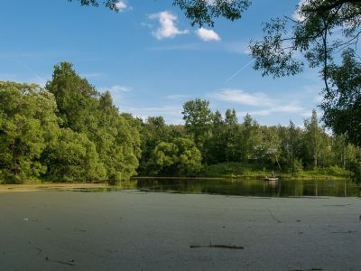 Парк с прудами