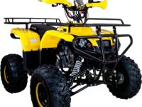 Квадроцикл AVANTIS Patriot M