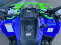 Квадроцикл IRIDE 200 ROVER