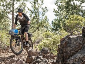 Задний универсальный багажник Topeak Tetrarack M2 (mountain) 26-29" (черный)