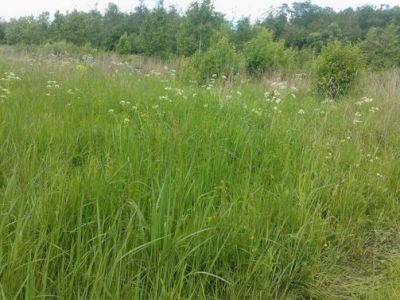 Водяная мельница