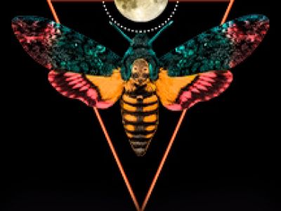 Вероника решает...