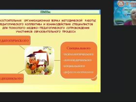 Международный вебинар "Деятельность ПМПк по осуществлению индивидуально-ориентированной психолого-медико-педагогической помощи обучающимся с ОВЗ"
