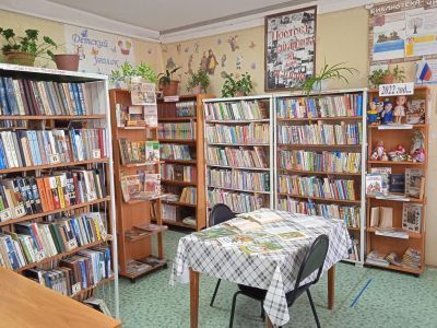 Верхнегородковская библиотека № 8