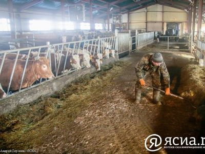 В Якутии количество фермеров и предпринимателей в сельском хозяйстве выросло до 4 тысяч