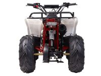 Квадроцикл WELS Thunder Evo M детский