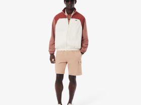 Мужские шорты Lacoste из органического хлопка