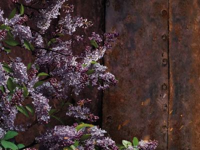 Любить на войне