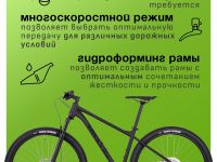 Горный велосипед Atom Bion Nine 550, год 2024, цвет Черный, ростовка 17