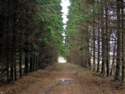 Регулярный парк с искусственными прудами