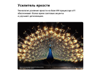 Телевизор LG OLED55C6RLA.ARUG, 55", OLED 4K UHD, 120 Гц, Smart TV (webOS)
