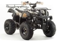 Квадроцикл MOTOLAND 200 All Road (2021 Г.)