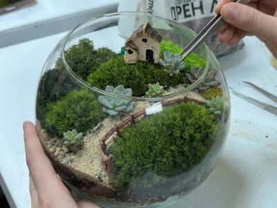 Мастерская миниатюр. Флорариумы