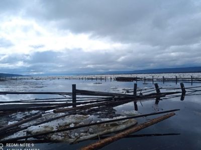 В результате ледохода на реке Лене наблюдается повышение уровней воды у села Троицкое