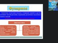 Международный вебинар "Защита декоративных цветочных культур от болезней в открытом и защищенном грунте. Комплексная защита декоративных культур от вредителей, болезней и неблагоприятных метеорологических условий"