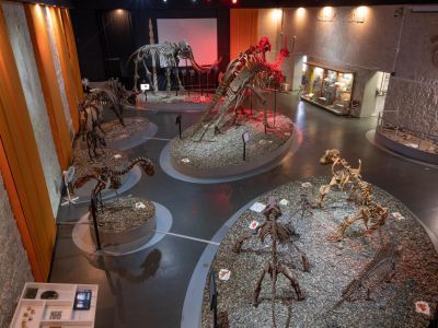 Музей пермских древностей