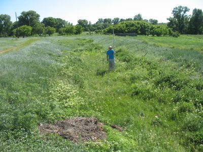 Канал Локтевского сереброплавильного завода (длина 8 км)