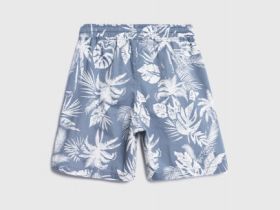 Шорты из микротвила для мальчиков, Голубой