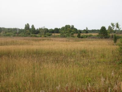 Памятное место, где 22 сентября 1943 г. солдат А. Куликов повторил подвиг А. Матросова