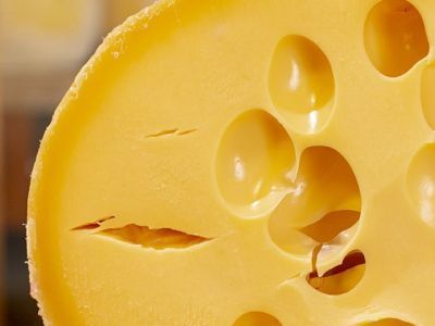 Эксперты объяснили, почему от сыра не толстеют и чем он полезен для сердца