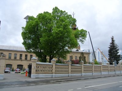 Фрагмент ограды, 1880-е гг., архитектор М.К.Геппенер