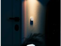 Умная кнопка Sber SBDV-00032 белая