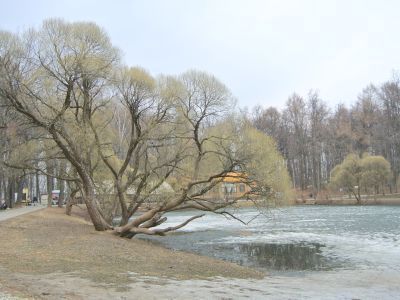 Усадьба "Фили-Кунцево"