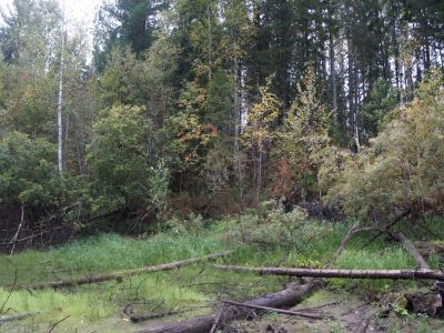 Хантыйский культовый дом