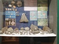 Большебуяновский народный историко-краеведческий музей