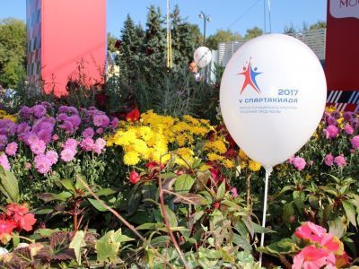 Спартакиада землячеств в столице. Москвичи проиграли. Фото