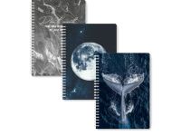 Планер день Remarklee "No risk, no magic" MyPPlanner А5