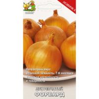 Лук репчатый Форвард