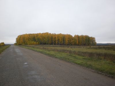 Священная роща