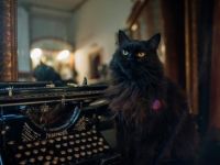 Музей-театр «Булгаковский дом»