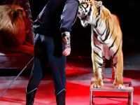 Большой Московский государственный цирк на проспекте Вернадского